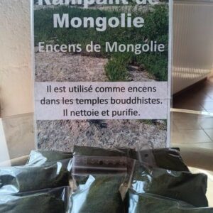 Genévrier rampant de Mongolie